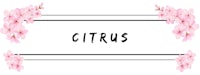 a white frame with pink flowers and the word citrus