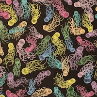 a colorful jellyfish pattern on a black background